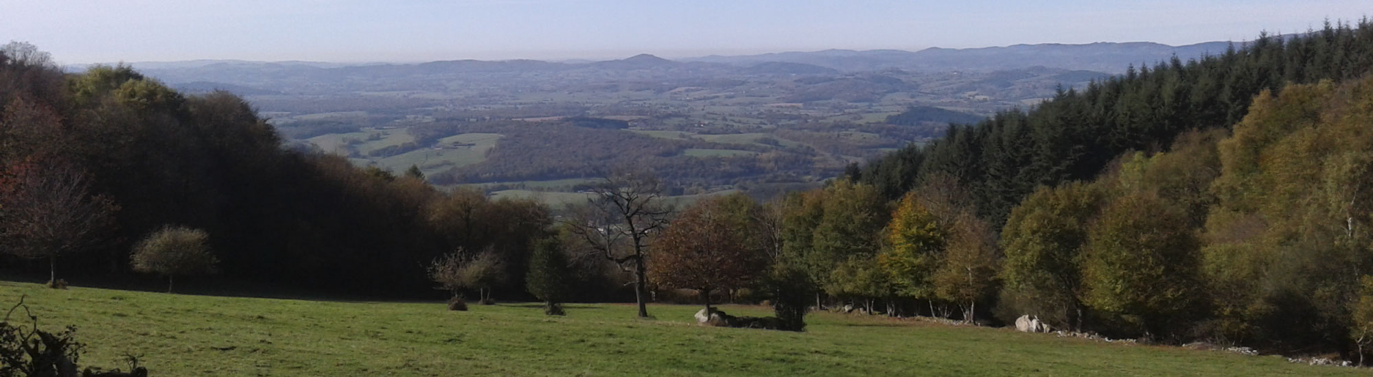 forêt Tauré