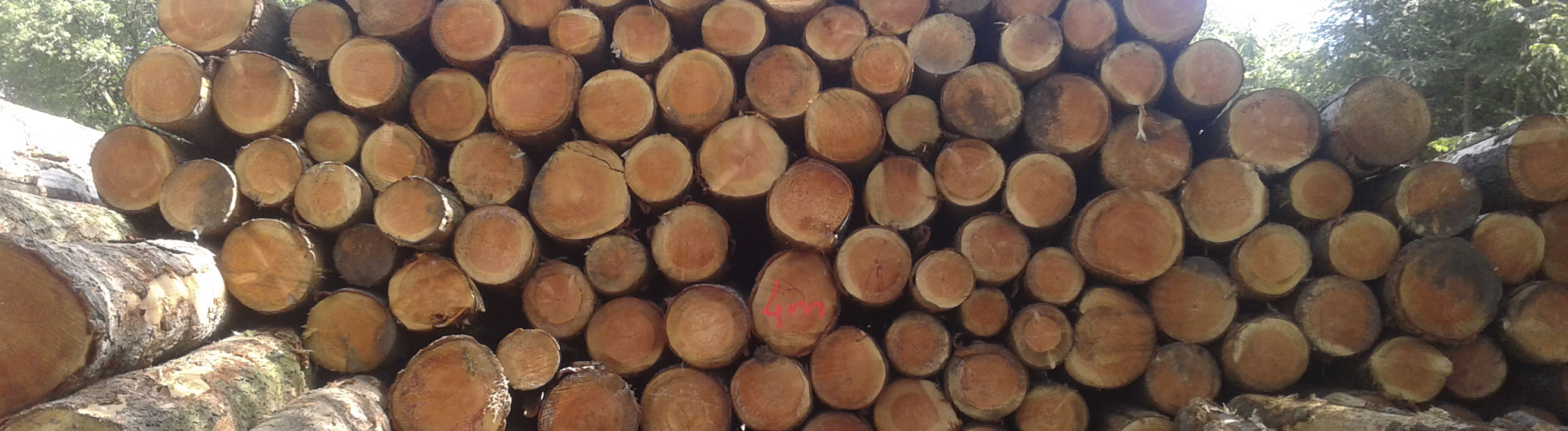lot de bois rond - achat de bois