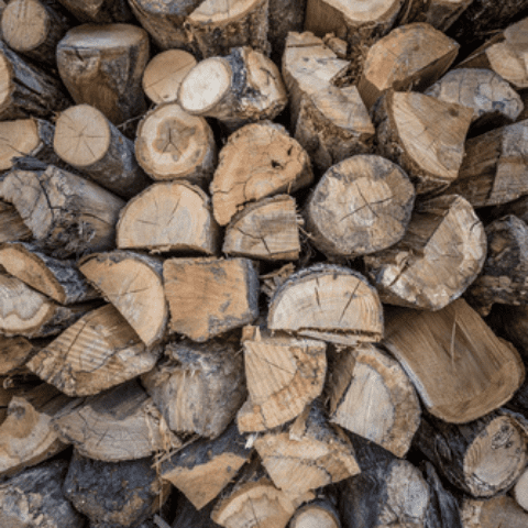 SARL Taurë - Technicien forestier - Gestion forestière - Acheteur de