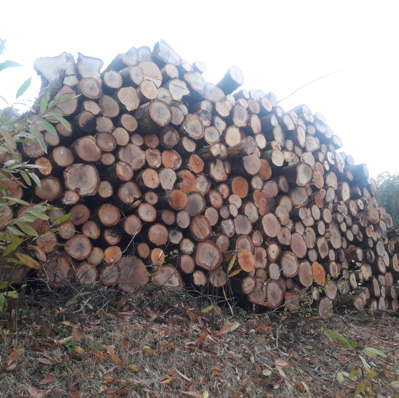 Une Pile De Bois De Chauffage Une Pile De Bois Pour Faire Un Feu