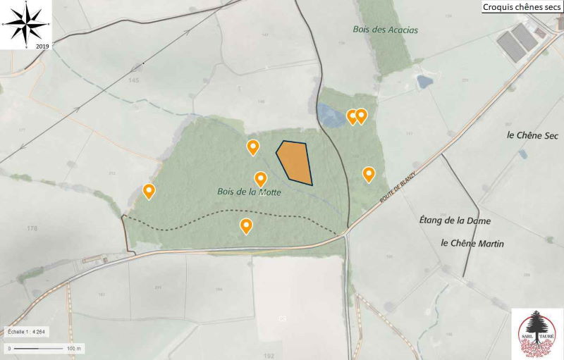 Exemple de cartographie de chênes secs