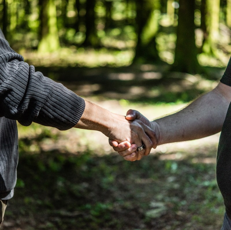 Contractualisation d'un lot de bois