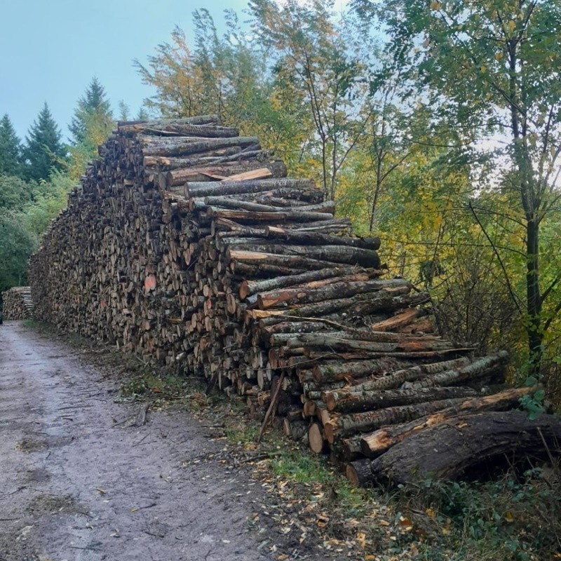 Bois de chauffage 2m