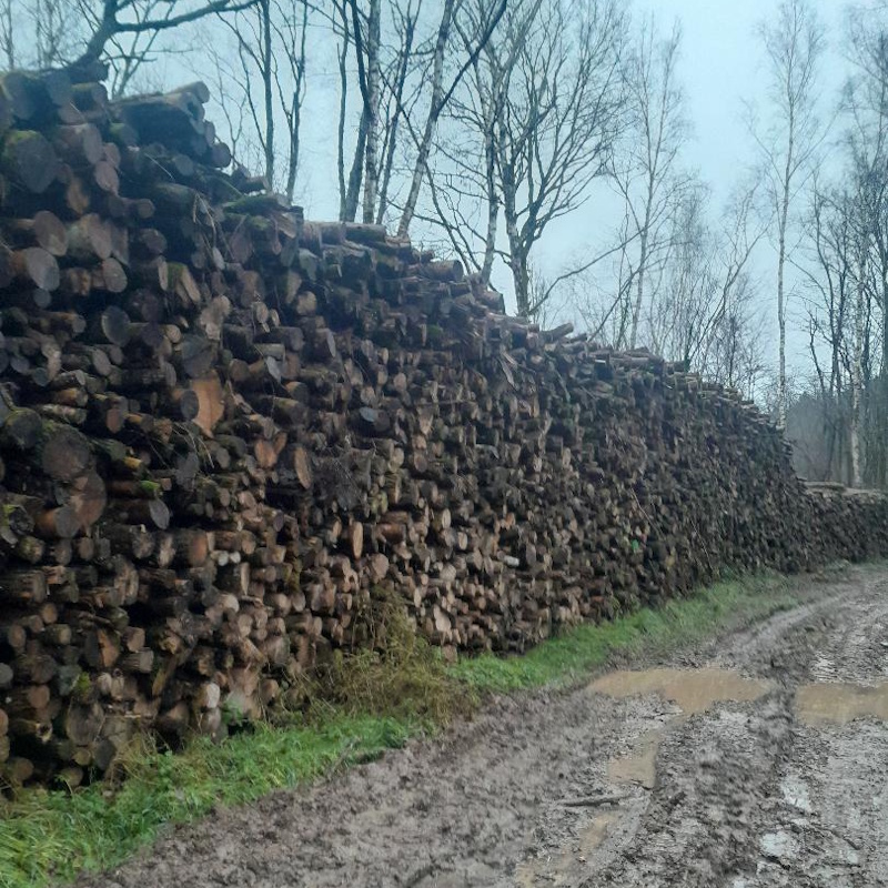 Bois de chauffage frêne acacia