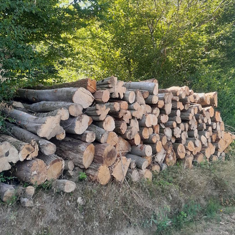 Bois de chauffage 4m St Eusèbe
