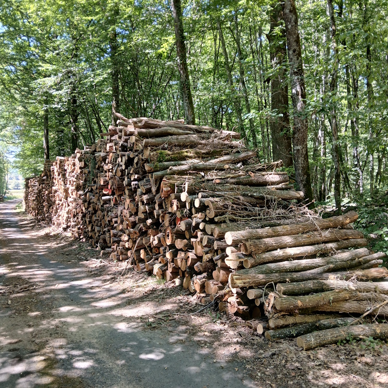Bois de chauffage acacia 2m