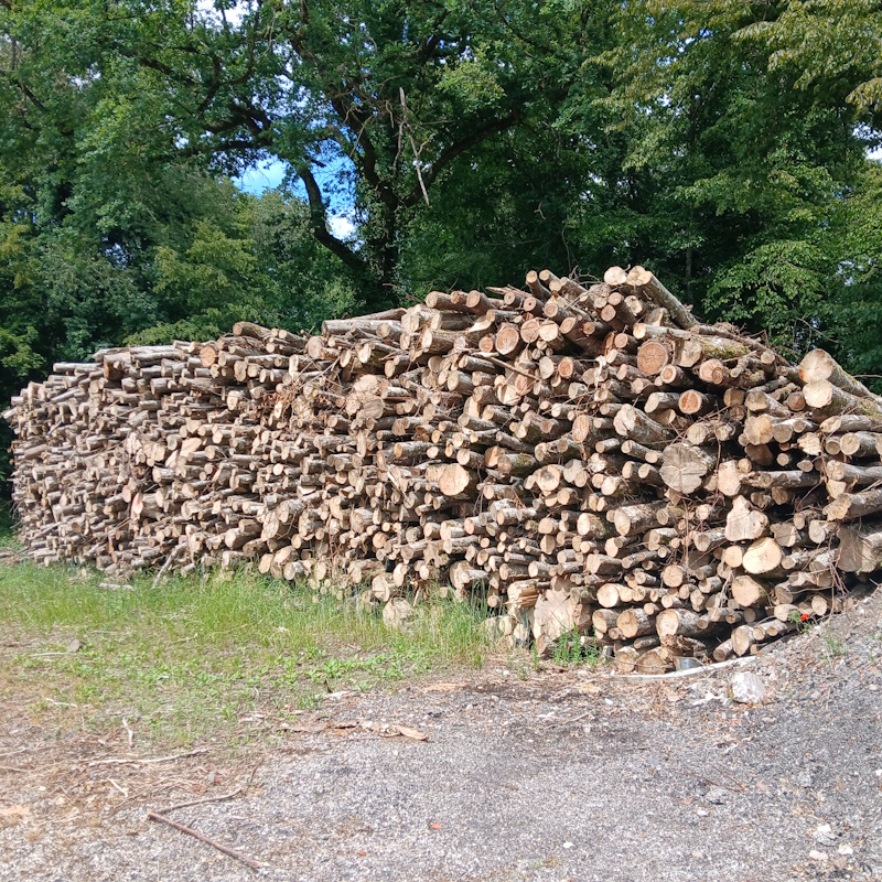 Bois de chauffage 2m Gevrey Chambertin