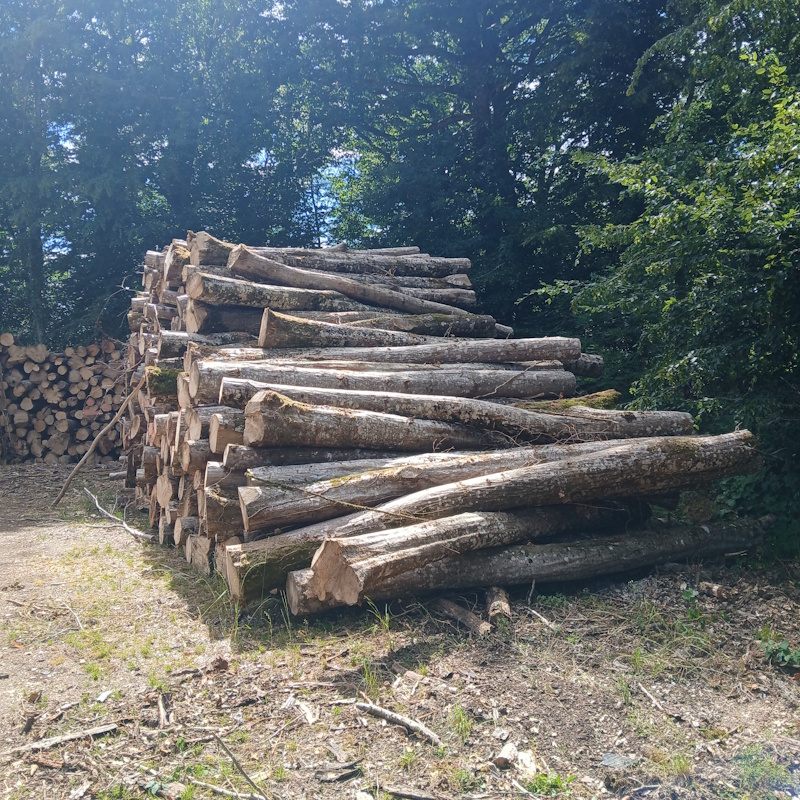 Bois de chauffage Gevrey 4m