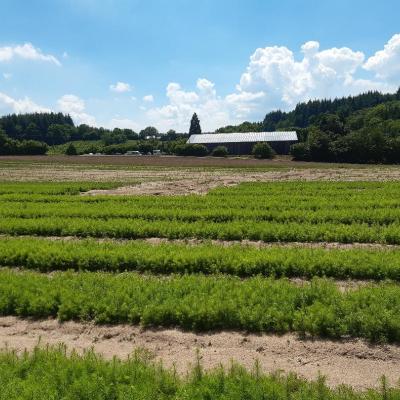 Pépinières Naudet - Site d'Autun