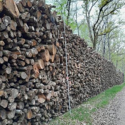 Prise de hauteur de la pile de bois