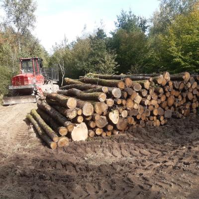 Débardage de bois de chauffage