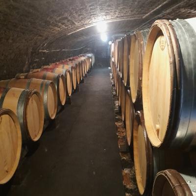 Tonneaux dans les caves du domaine Theulot-Juillot