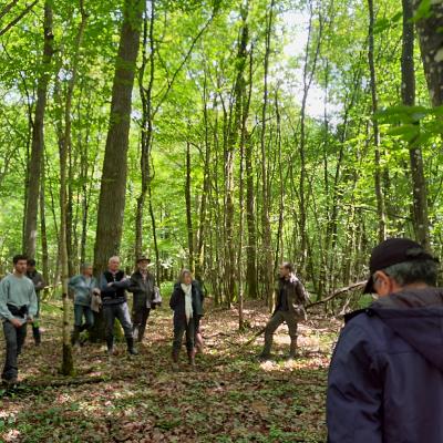 Réunion CRPF - Sylviculture du chêne - Gestion d'un mélange futaie - taillis