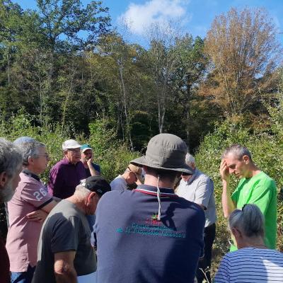 Visite chez un propriétaire forestier à Collonge en Charollais dans une plantation