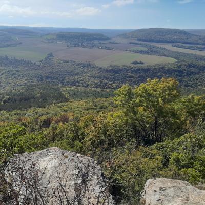 Plan simple de gestion, point de vue sur la forêt