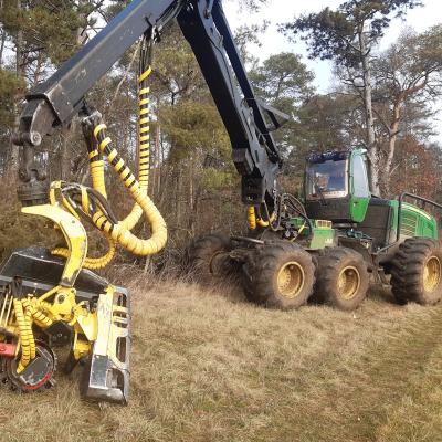 Une abatteuse devant une parcelle de pins