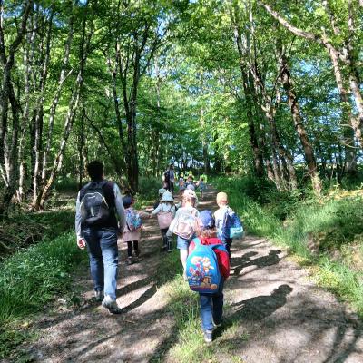 Les écoliers de l'école Robert Gagne des Bizots vont en forêt privée
