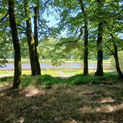 Ripisylve en zone Natura 2000
