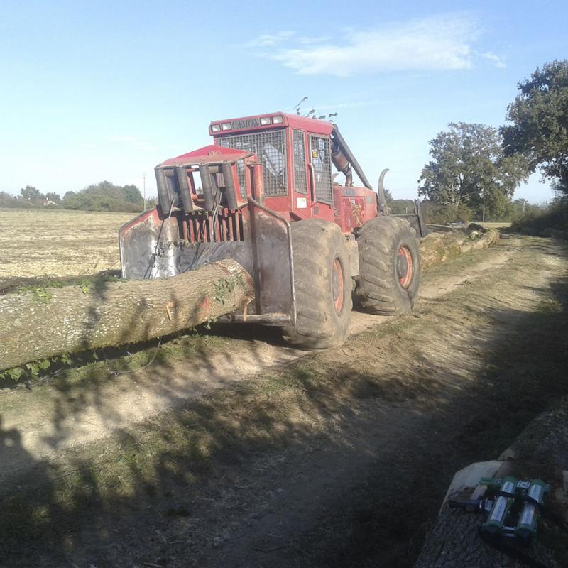 Débardage chênes - Bresse Saône et Loire