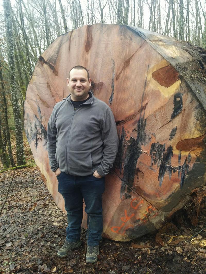 le Sequoia géant du Prieuré du Val Saint Benoit à Epinac