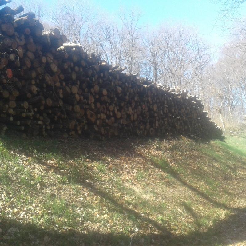 Pile de bois de chauffage en 2 mètres