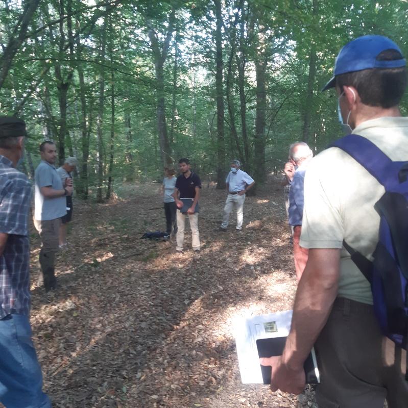 Réunion CRPF - Sylviculture face au réchauffement climatique