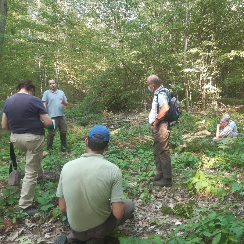 Réunion CRPF - Sylviculture face au réchauffement climatique
