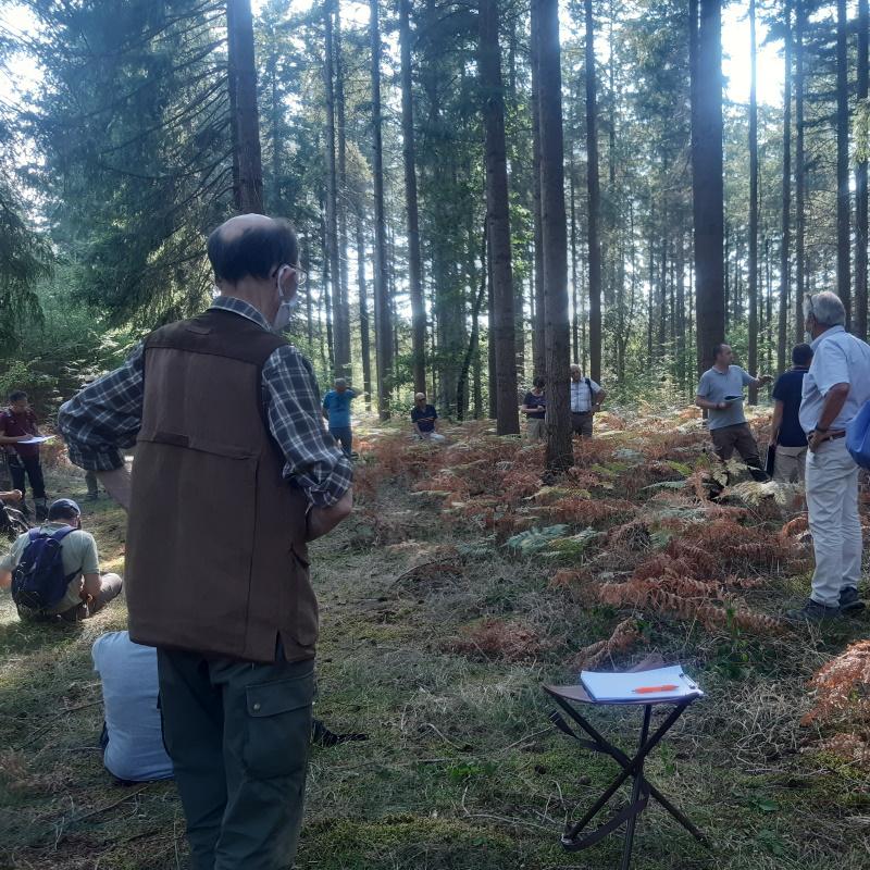 Réunion CRPF - Sylviculture face au réchauffement climatique