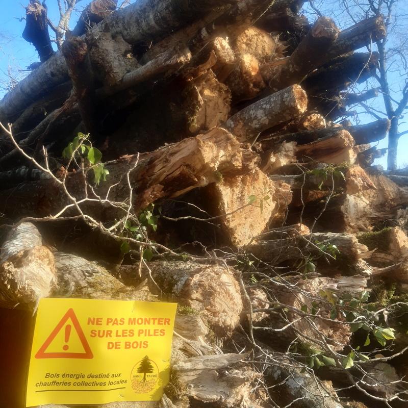 Pile de bois énergie