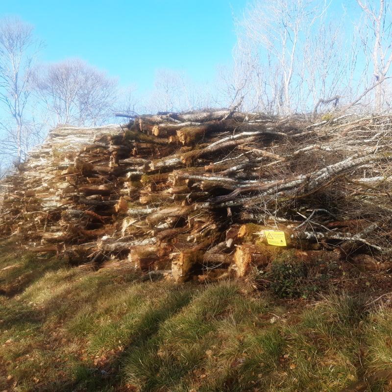 Pile de bois énergie bord de route