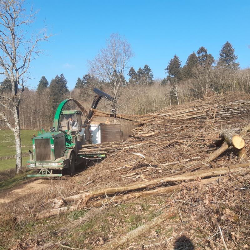 Broyage de taillis en bois énergie