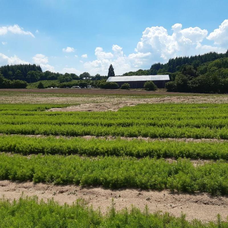 Pépinières Naudet - Site d'Autun