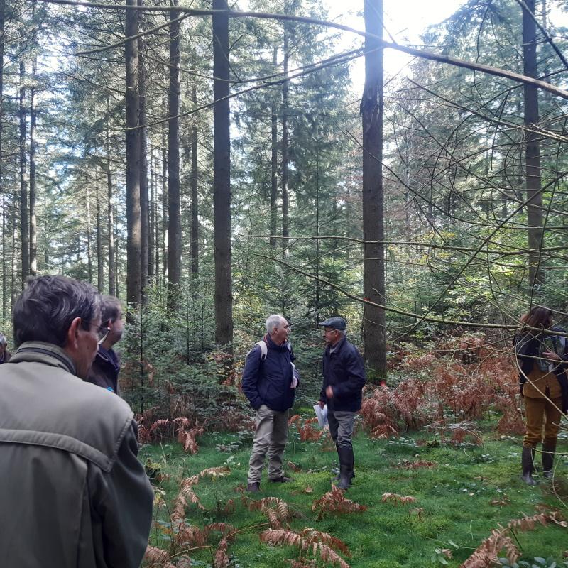 Discussions sur le douglas face au réchauffement climatique