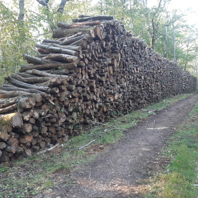 Pile de bois de chauffage