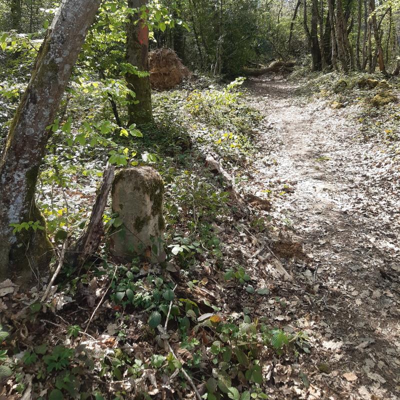 Borne de limite au bord d'un chemin