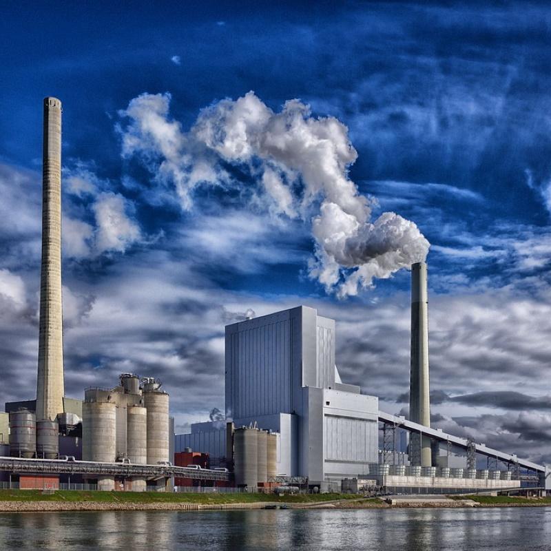 Une raffinerie transforme le bois en bio-carburant