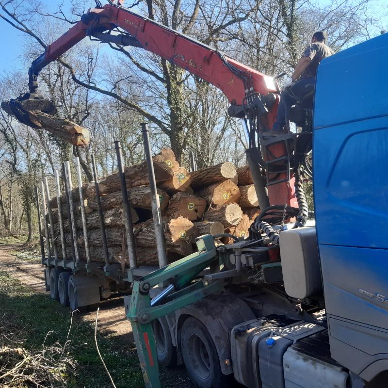 Chargement au grumier de merrains d'acacias