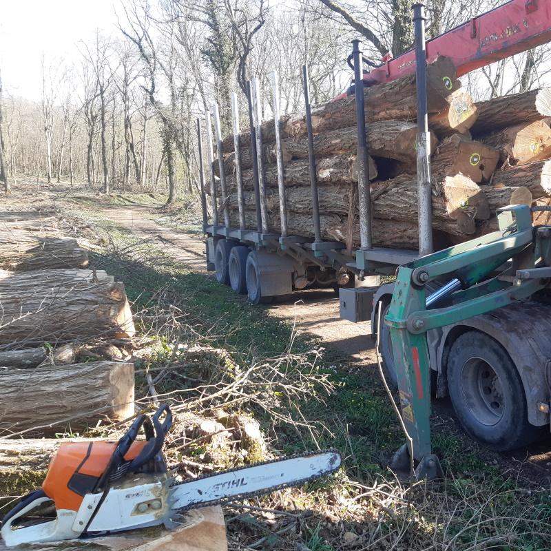 Découpes et chargement de merrains d'acacia