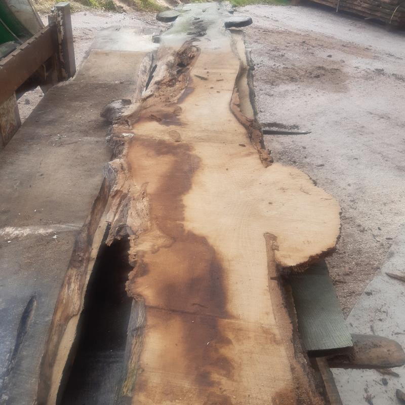 Plateau d'acacia avec loupe d'acacia vendu par Taurë