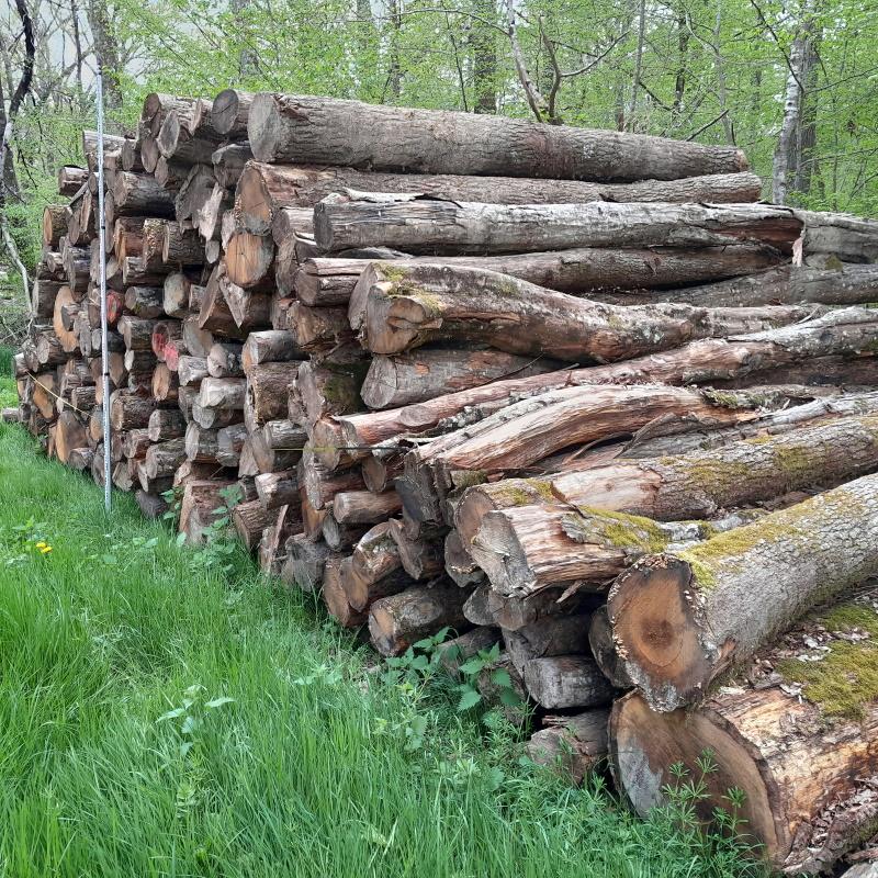 Prise de longueur et de hauteur de la pile de bois