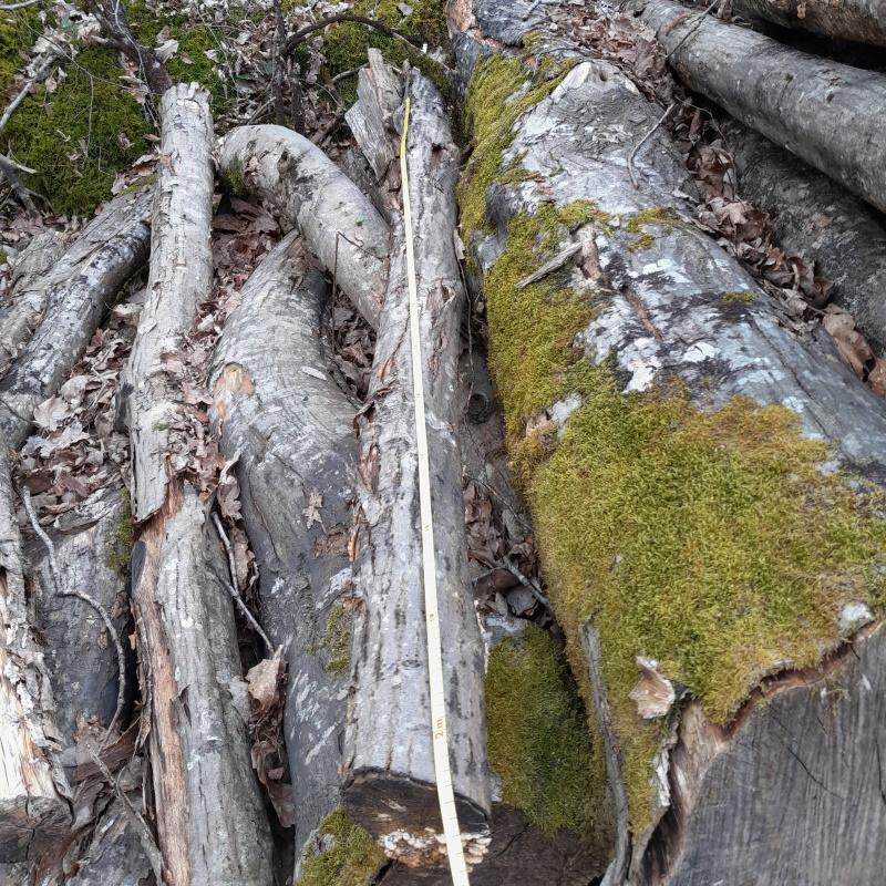 La longueur du billon de bois