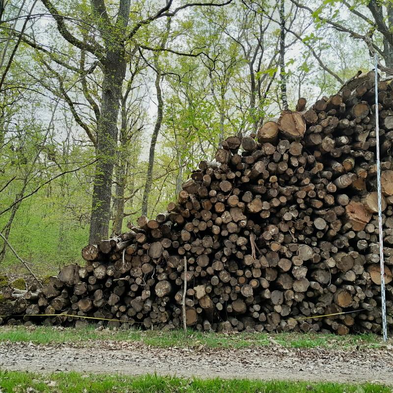 Prise la la longueur du triangle en bout de la pile de bois