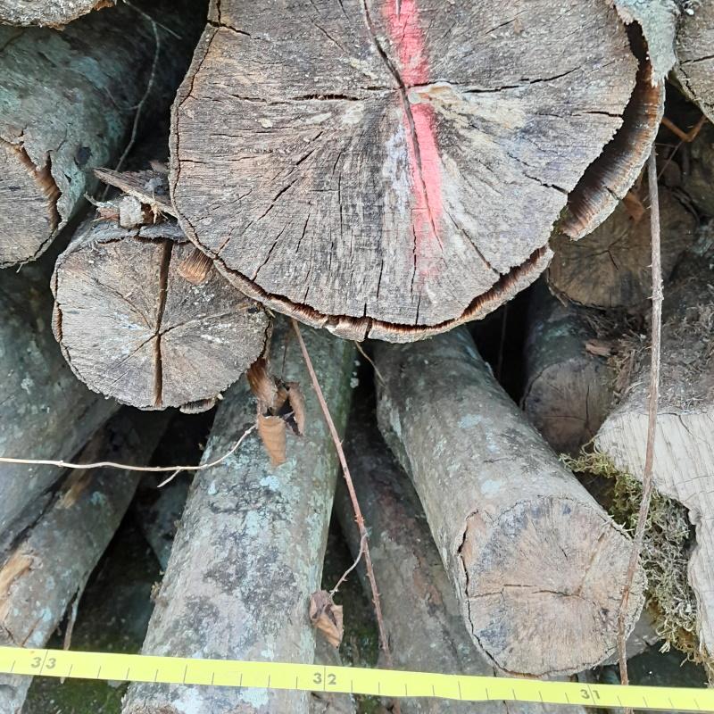 Marquage de la moitié de la longueur du triangle