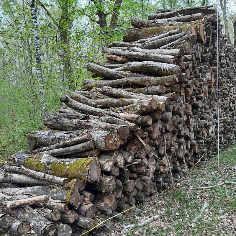 Prise la la longueur du triangle en bout de la pile de bois