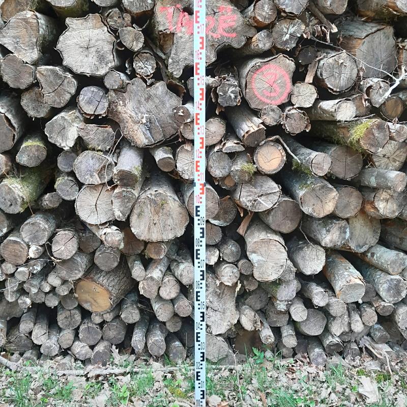 Mise en place de la pige pour la hauteur