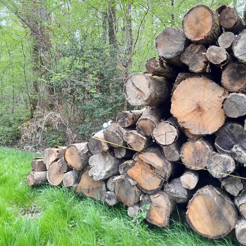 Cubage du bout de la pile de bois