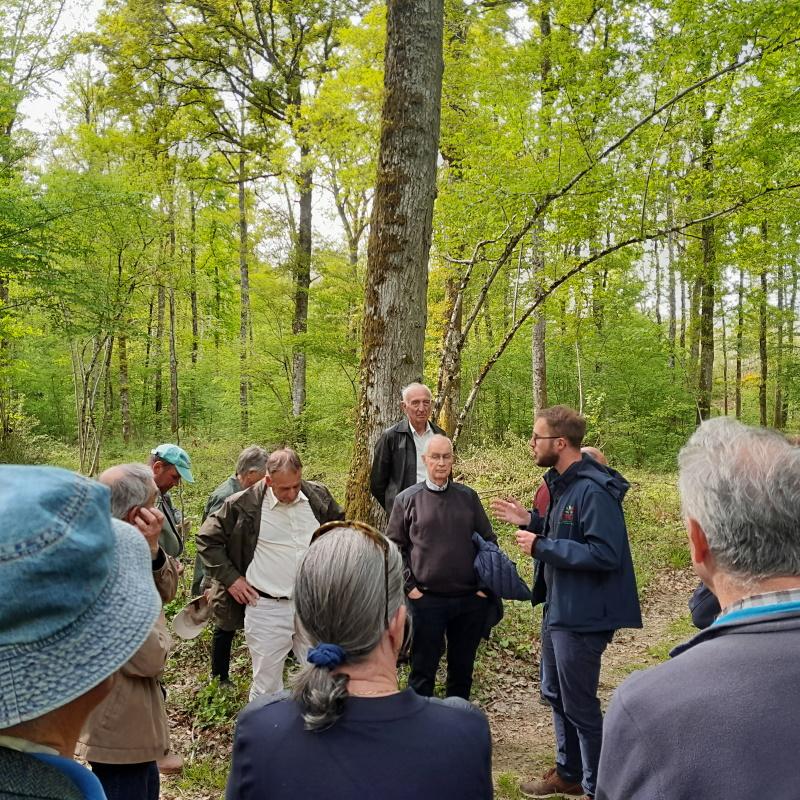 Antoine Delbergue décrit le principe de la futaie irrégulière