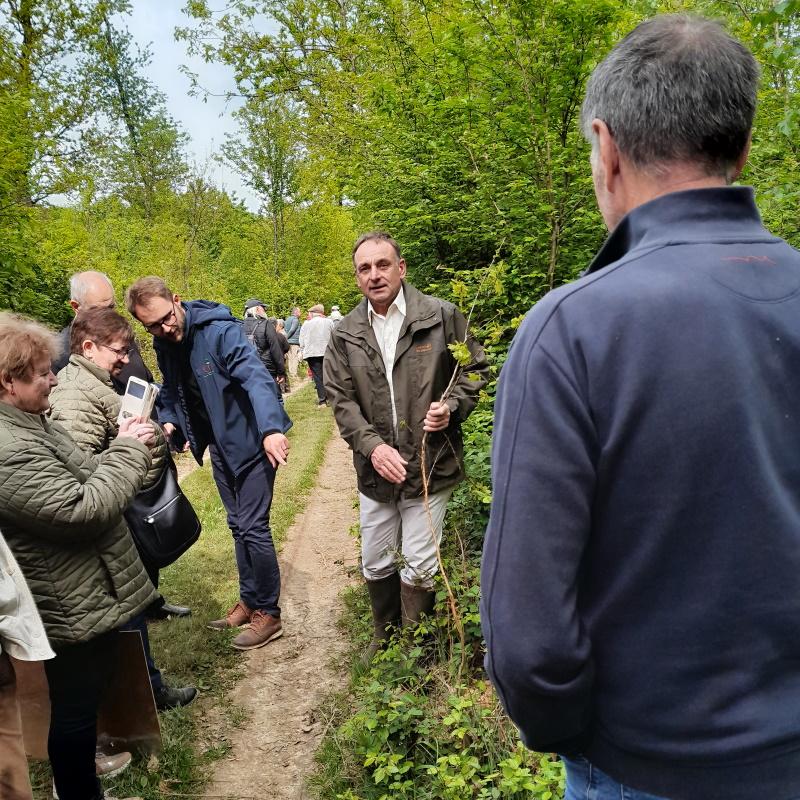 Gérard Boursier nous montre des dégâts de chevreuil en compagnie d'Antoine Delbergue