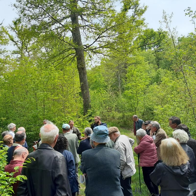 Les adhérents du Cetef et du Fogefor réunis pour la visite de la forêt des sept feuillots