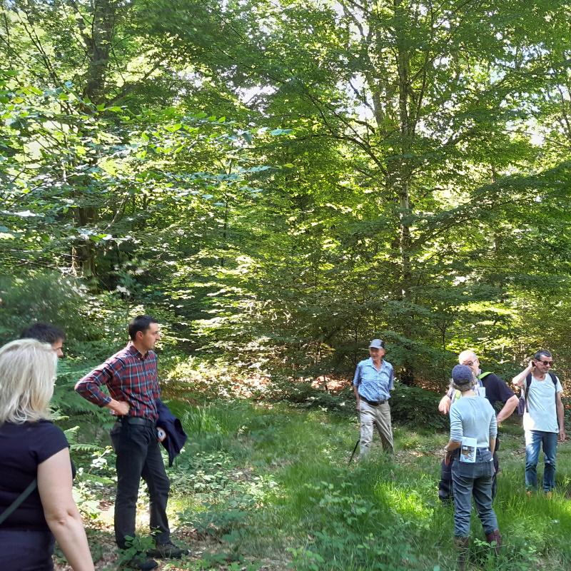 Discussions en forêt dans le bois de Garnay